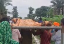 सड़क नहीं होने से बढ़ी परेशानी, बक्सवाहा में गर्भवती महिला को खाट पर अस्पताल ले गए News Desk