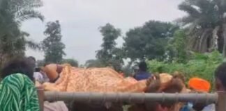 सड़क नहीं होने से बढ़ी परेशानी, बक्सवाहा में गर्भवती महिला को खाट पर अस्पताल ले गए News Desk