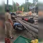 रेलवे क्रासिंग के पास यूके लिप्टिस का पेंड गिरने से दो वाहन क्षतिग्रस्त