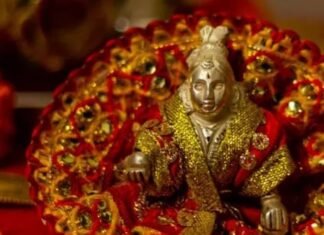 बाल गोपाल, बांसुरी वाले कान्हा या कोई और? घर में श्रीकृष्ण का कौन सा स्वरूप रखना है शुभ News Desk