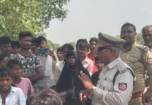 बलरामपुर के कपौवा गांव में तेंदुए का हमला:खेत के पास बंधी भेड़ को उठा ले गया, ग्रामीणों में खतरे का डर