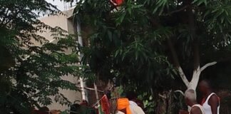 आवारा पशु से टकराकर गिरे पति-पत्नी:बलरामपुर के कोडारी रोड पर हादसा, महिला गंभीर घायल