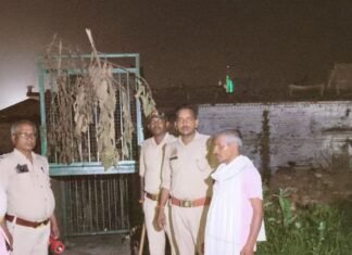 बलरामपुर में 83 भेड़ों पर हमला:लकड़बग्घे की तलाश में जुटा वन विभाग, कैमरों से निगरानी
