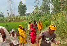 नवरात्रि से पहले सड़क बनाने की मांग:कोट मुबारकपुर में समय माता मंदिर जाने वाले रास्ते पर भरा पानी