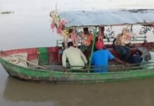 विक्रमजोत पीपा पुल में मिलीं 14 मरी हुई भैंसें:चारा चरने माझा गई थीं, तेज बहाव में फंसकर मौत; ग्रामीणों ने निकाला