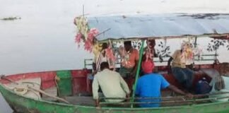 विक्रमजोत पीपा पुल में मिलीं 14 मरी हुई भैंसें:चारा चरने माझा गई थीं, तेज बहाव में फंसकर मौत; ग्रामीणों ने निकाला