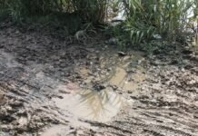 खर्च का मुख्य रास्ते पर गड्ढे ही गड्ढे:जलभराव और कीचड़ से ग्रामीण परेशान, मरम्मत की मांग