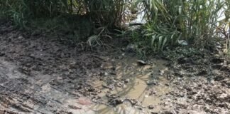 खर्च का मुख्य रास्ते पर गड्ढे ही गड्ढे:जलभराव और कीचड़ से ग्रामीण परेशान, मरम्मत की मांग