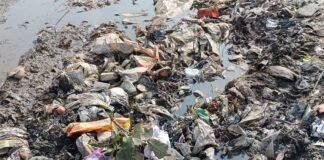दुबौलिया में सड़क पर जलभराव:लेहरा स्टेशन से धानी को जोड़ने वाली सड़क पर गंदगी, राहगीर और स्कूली बच्चे परेशान