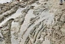 अमरहवा में बारिश से जलभराव और कीचड़:रास्तों से निकलना मुश्किल, बीमारियों का खतरा; ग्रामीणों ने समस्या से निजात दिलाने की मांग की