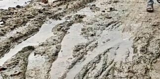 अमरहवा में बारिश से जलभराव और कीचड़:रास्तों से निकलना मुश्किल, बीमारियों का खतरा; ग्रामीणों ने समस्या से निजात दिलाने की मांग की