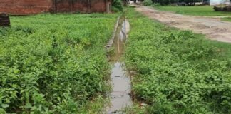 दुबौलिया में नाली जाम से जलभराव:स्कूली बच्चे और राहगीर प्रभावित, ग्रामीणों ने जताई नाराजगी