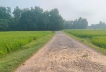 अचरौरा-शाहपुर मार्ग जर्जर:हजारों ग्रामीणों, स्कूली बच्चों और किसानों को परेशानी; कई सालों से नहीं हुई मरम्मत