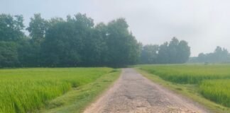अचरौरा-शाहपुर मार्ग जर्जर:हजारों ग्रामीणों, स्कूली बच्चों और किसानों को परेशानी; कई सालों से नहीं हुई मरम्मत