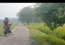 भट्टपुरवा-अचरौरा मार्ग गड्ढों में तब्दील:रात में हादसे का खतरा बढ़ा, ग्रामीणों ने मरम्मत और लाइट की मांग की