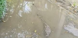जोगनी के मुख्य मार्ग पर जलभराव:मासूम बच्चे कीचड़ और पानी से होकर स्कूल जाने को मजबूर, ग्रामीणों को भी परेशानी