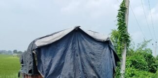 बांसी-डुमरियागंज मार्ग पर खाद लदा ट्रक गड्ढे में पलटा:सोनाहटी गांव के पास हुआ हादसा, बड़ा हादसा टला