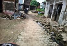 बस्ती के पकरी जई गांव में टूटी नाली:रिपेयरिंग न होने से गंदगी और बीमारियां बढ़ रही, इंटरलॉकिंग सड़कें भी खराब