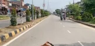 नगर बाजार में पशु की मौत,सड़क पर पड़ा रहा शव:राहगीरों और वाहन चालकों को हुई परेशानी