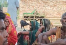 श्रावस्ती में किसानों को सिखाई खेती की नई तकनीक:जैविक खेती और कम लागत में ज्यादा मुनाफे के बताए तरीके