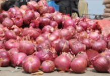 गणेश चतुर्थी – त्योहारी सीजन में प्याज फिर हुआ महंगा