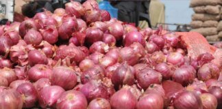 गणेश चतुर्थी – त्योहारी सीजन में प्याज फिर हुआ महंगा