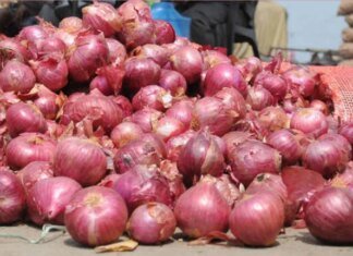 गणेश चतुर्थी – त्योहारी सीजन में प्याज फिर हुआ महंगा