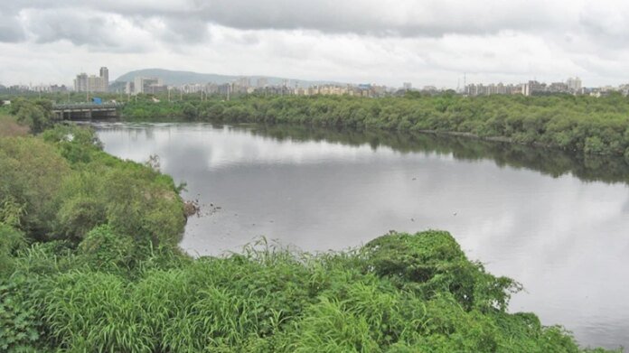 1789577141_images_1521710905969_mithi_river.jpg