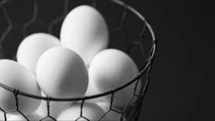 1789581283_eggs_1675253487079.jpg