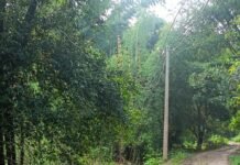 भटपुरवा खुर्द में बिजली के तार रास्तों पर लटके:हादसे का खतरा, ग्रामीण परेशान; कई बार शिकायत के बाद भी कार्रवाई नहीं