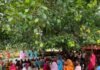 श्रावस्ती में नुक्कड़ नाटक से दिया सही पोषण का संदेश:प्रोग्रेसिव फाउंडेशन और स्वास्थ्य विभाग ने ग्रामीणों को समझाया संतुलित खान-पान व स्वच्छता