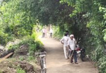 दैनिक भास्कर की खबर का असर:पोखरा बाजार में पीएम मोदी के जन्मदिन पर चला सफाई, सड़क किनारे की झाड़ियां हटाई गईं