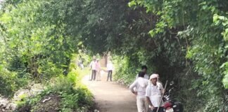 दैनिक भास्कर की खबर का असर:पोखरा बाजार में पीएम मोदी के जन्मदिन पर चला सफाई, सड़क किनारे की झाड़ियां हटाई गईं