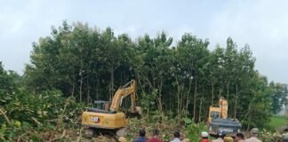 एनएच बाईपास निर्माण में बाधा बन रहे 170 पेड़ हटाए:सिद्धार्थनगर में प्रशासन ने भारी फोर्स के साथ 10 मंडी जमीन खाली कराई