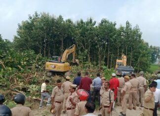 एनएच बाईपास निर्माण में बाधा बन रहे 170 पेड़ हटाए:सिद्धार्थनगर में प्रशासन ने भारी फोर्स के साथ 10 मंडी जमीन खाली कराई