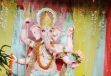 मऊपकड़ में गणेश प्रतिमाओं की धूमधाम से हो रही पूजा:14 सितंबर से स्थापित प्रतिमाओं का 21 को होगा विसर्जन