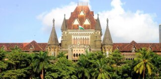 बॉम्बे HC ने BMC, TMC को पेड़ों के कंक्रीटीकरण का मिलकर हल निकालने का निर्देश दिया