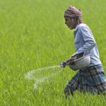 ईरान युद्ध के कारण किसानों पर आएगा यूरिया संकट, LNG की कमी से उठे सवाल