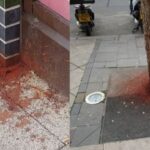 दो भारतीय ने गुटखा खाकर सड़क पर बना दी ‘रंगोली’, 3 लाख रुपये का लगा जुर्माना