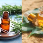 रोजमेरी या टी ट्री ऑयल, बालों के लिए क्या है ज्यादा फायदेमंद?