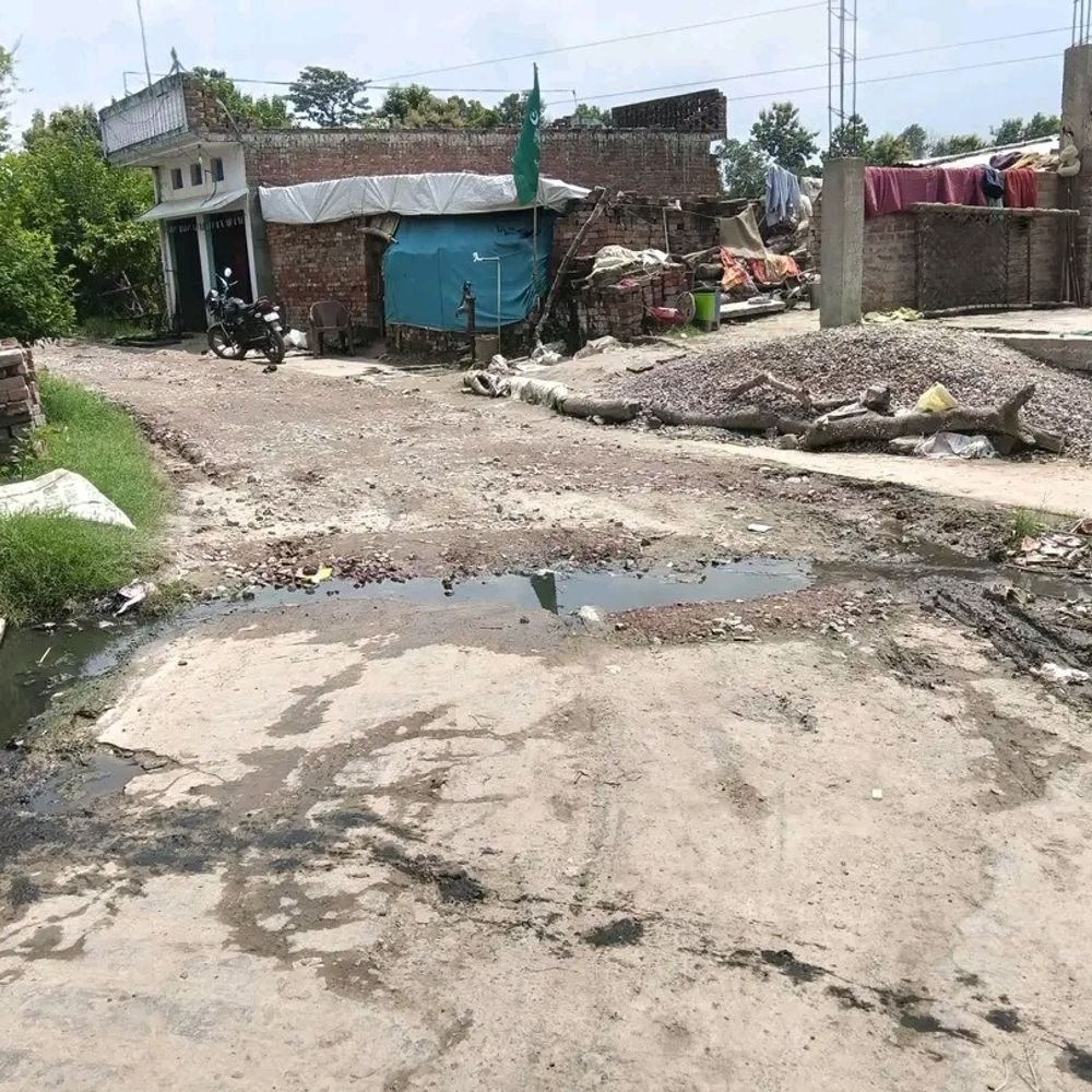 लठावर में गंदगी से डेंगू का खतरा:आरसीसी रोड पर कचरा जमा, लोगों ने सफाई की मांग की
