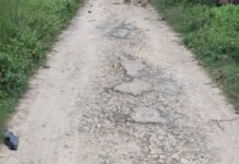 मजीरे गोपलापुर-इलाही नगर संपर्क मार्ग जर्जर:आठ साल में बनी सड़क से राहगीर, स्कूली बच्चे परेशान