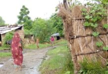 8 माह से नाली साफ नहीं, ग्रामीण परेशान:लोहारनपुरवा में गंदगी-जलभराव से बीमारी का खतरा, सफाईकर्मी पर आरोप