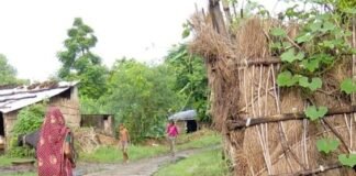 8 माह से नाली साफ नहीं, ग्रामीण परेशान:लोहारनपुरवा में गंदगी-जलभराव से बीमारी का खतरा, सफाईकर्मी पर आरोप