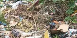 गैंसड़ी में कब्रिस्तान मार्ग पर गंदगी, जलभराव:नगर पंचायत की कार्यप्रणाली पर उठे सवाल, बीमारी का खतरा