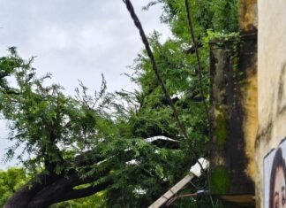 पयागपुर में जलभराव से पेड़ गिरा, तीन खंभे टूटे:नई बस्ती में विद्युत आपूर्ति बाधित, लोगों को परेशानी