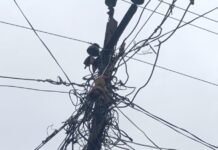 Motipur Power Outage | Monkey Death Hits High Tension Line in Bahraich