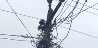 Motipur Power Outage | Monkey Death Hits High Tension Line in Bahraich