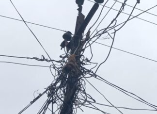 Motipur Power Outage | Monkey Death Hits High Tension Line in Bahraich