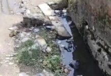 बलरामपुर के अलाउद्दीनपुर में नालियां बजबजा रहीं, सफाई व्यवस्था बदहाल:ग्रामीण परेशान, संक्रामक बीमारियों का खतरा बढ़ा